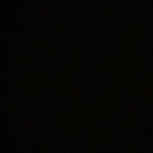 Meet your Posher, Warren